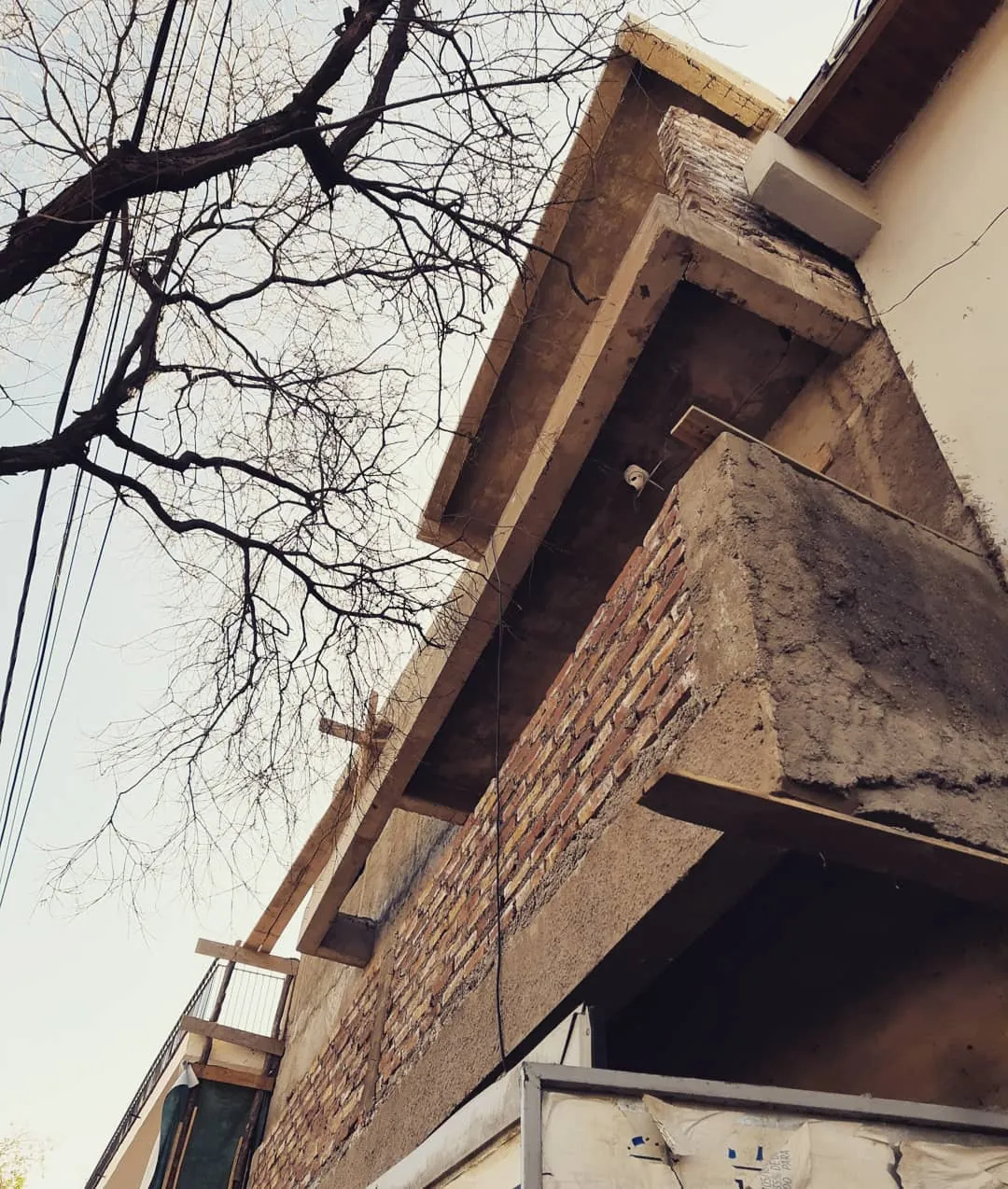 Patio arbolado del proyecto El Cerezo